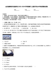 山东省聊城市东昌府区2023-2024学年物理八上期末学业水平测试模拟试题含答案