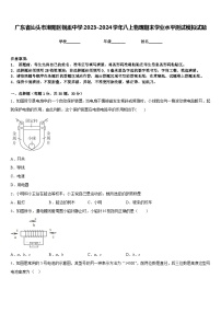 广东省汕头市潮阳区铜盂中学2023-2024学年八上物理期末学业水平测试模拟试题含答案