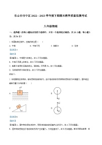 四川省乐山市市中区2022-2023学年八年级下学期期末教学质量监测物理试题（解析版）