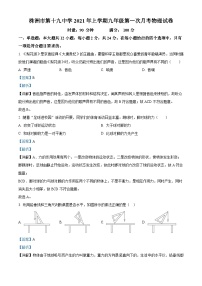 湖南省株洲市荷塘区第十九中学2020-2021学年九年级下学期第一次月考物理试题（解析版）