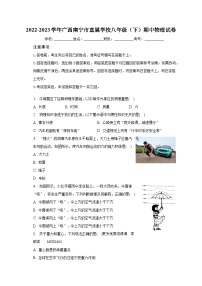 广西南宁市直属学校2022-2023学年八年级下学期期中物理试卷