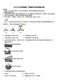 2023年九年级物理第一学期期末达标检测模拟试题