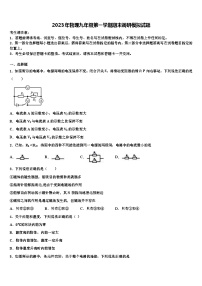 2023年物理九年级第一学期期末调研模拟试题