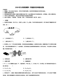 2024年九年级物理第一学期期末统考模拟试题