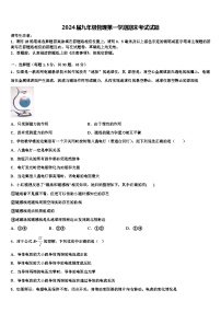 2024届九年级物理第一学期期末考试试题