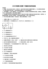 2024年物理九年级第一学期期末质量检测试题