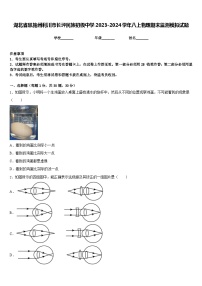 湖北省恩施州利川市长坪民族初级中学2023-2024学年八上物理期末监测模拟试题含答案