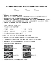 湖北省孝感市孝南区十校联谊2023-2024学年物理八上期末综合测试试题含答案