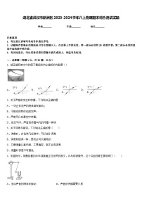 湖北省武汉市新洲区2023-2024学年八上物理期末综合测试试题含答案