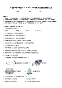 湖北省孝感市孝昌县2023-2024学年物理八上期末统考模拟试题含答案