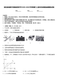 湖北省宜昌市外国语初级中学2023-2024学年物理八上期末质量跟踪监视模拟试题含答案