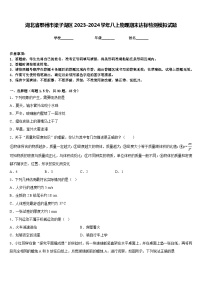 湖北省鄂州市梁子湖区2023-2024学年八上物理期末达标检测模拟试题含答案