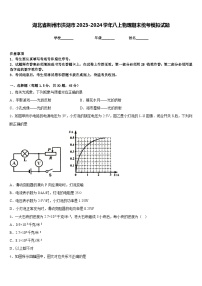 湖北省荆州市洪湖市2023-2024学年八上物理期末统考模拟试题含答案