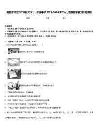 湖北省武汉市江岸区武汉七一华源中学2023-2024学年八上物理期末复习检测试题含答案