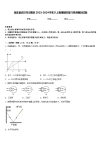 湖北省武汉市汉阳区2023-2024学年八上物理期末复习检测模拟试题含答案