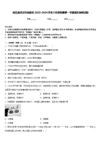 湖北省武汉市高新区2023-2024学年八年级物理第一学期期末调研试题含答案