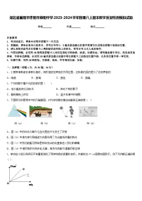 湖北省襄阳市枣阳市蔡阳中学2023-2024学年物理八上期末教学质量检测模拟试题含答案