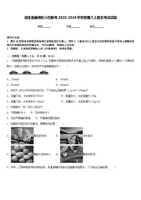 湖北省襄州区六校联考2023-2024学年物理八上期末考试试题含答案