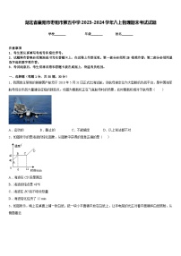 湖北省襄阳市枣阳市第五中学2023-2024学年八上物理期末考试试题含答案