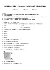 湖北省襄阳市枣阳实验中学2023-2024学年物理八年级第一学期期末统考试题含答案