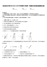 湖北省武汉市硚口区2023-2024学年物理八年级第一学期期末质量跟踪监视模拟试题含答案