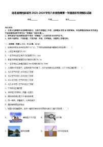 湖北省黄冈麻城市2023-2024学年八年级物理第一学期期末检测模拟试题含答案