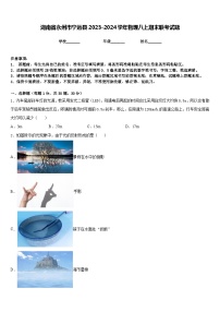 湖南省永州市宁远县2023-2024学年物理八上期末联考试题含答案