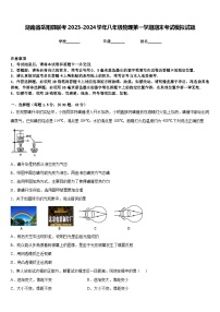 湖南省岳阳县联考2023-2024学年八年级物理第一学期期末考试模拟试题含答案