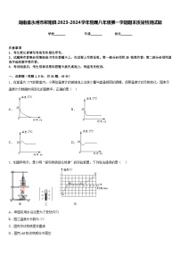 湖南省永州市祁阳县2023-2024学年物理八年级第一学期期末质量检测试题含答案