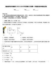 湖南省株洲市醴陵市2023-2024学年物理八年级第一学期期末联考模拟试题含答案