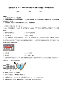 湖南省洪江市2023-2024学年物理八年级第一学期期末统考模拟试题含答案