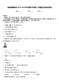 湖南省澧县联考2023-2024学年物理八年级第一学期期末达标测试试题含答案
