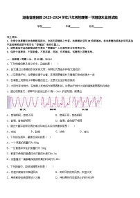 湖南省隆回县2023-2024学年八年级物理第一学期期末监测试题含答案