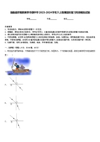 湖南省邵阳县黄亭市镇中学2023-2024学年八上物理期末复习检测模拟试题含答案