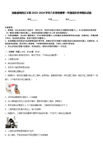 湖南省湘西古丈县2023-2024学年八年级物理第一学期期末统考模拟试题含答案