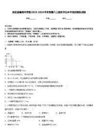 湖北省襄阳市枣阳2023-2024学年物理八上期末学业水平测试模拟试题含答案