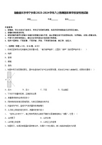 湖南省长沙市宁乡县2023-2024学年八上物理期末教学质量检测试题含答案