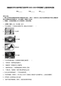 湖南省长沙市大附中博才实验中学2023-2024学年物理八上期末统考试题含答案