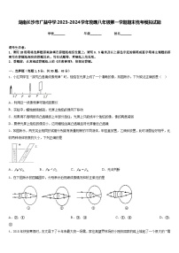 湖南长沙市广益中学2023-2024学年物理八年级第一学期期末统考模拟试题含答案