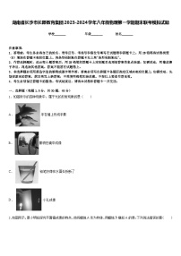 湖南省长沙市长郡教育集团2023-2024学年八年级物理第一学期期末联考模拟试题含答案