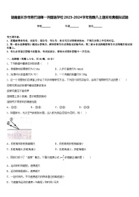 湖南省长沙市青竹湖湘一外国语学校2023-2024学年物理八上期末经典模拟试题含答案