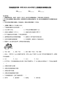 甘肃省临夏市第一中学2023-2024学年八上物理期末调研模拟试题含答案