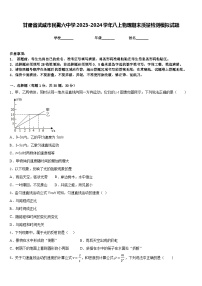 甘肃省武威市民勤六中学2023-2024学年八上物理期末质量检测模拟试题含答案