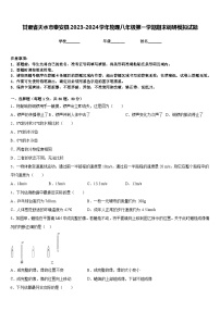 甘肃省天水市秦安县2023-2024学年物理八年级第一学期期末调研模拟试题含答案