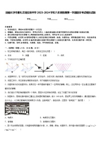 湖南长沙市雅礼洋湖实验中学2023-2024学年八年级物理第一学期期末考试模拟试题含答案