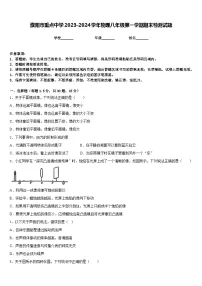 濮阳市重点中学2023-2024学年物理八年级第一学期期末检测试题含答案
