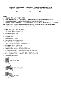 湖南长沙广益中学2023-2024学年八上物理期末复习检测模拟试题含答案