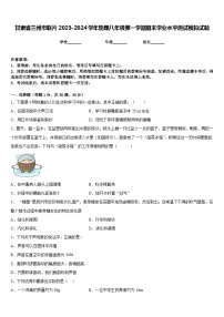 甘肃省兰州市联片2023-2024学年物理八年级第一学期期末学业水平测试模拟试题含答案