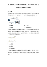 14电路故障分析（期末常考提升题）-江苏省2023-2024九年级物理上学期期末突击练习