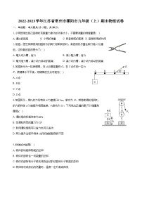 2022-2023学年江苏省常州市溧阳市九年级（上）期末物理试卷（含详细答案解析）